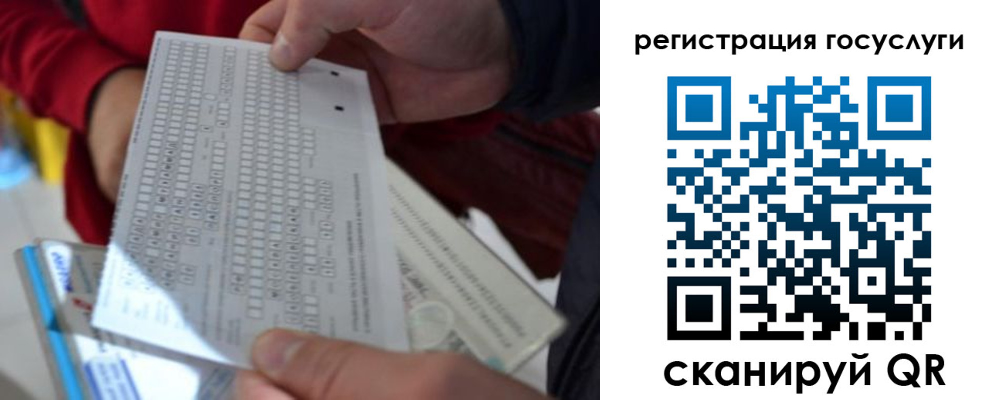 прописка гарантия в Болотном