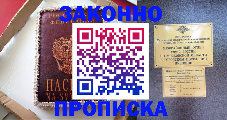 временная регистрация для всех в Болотном